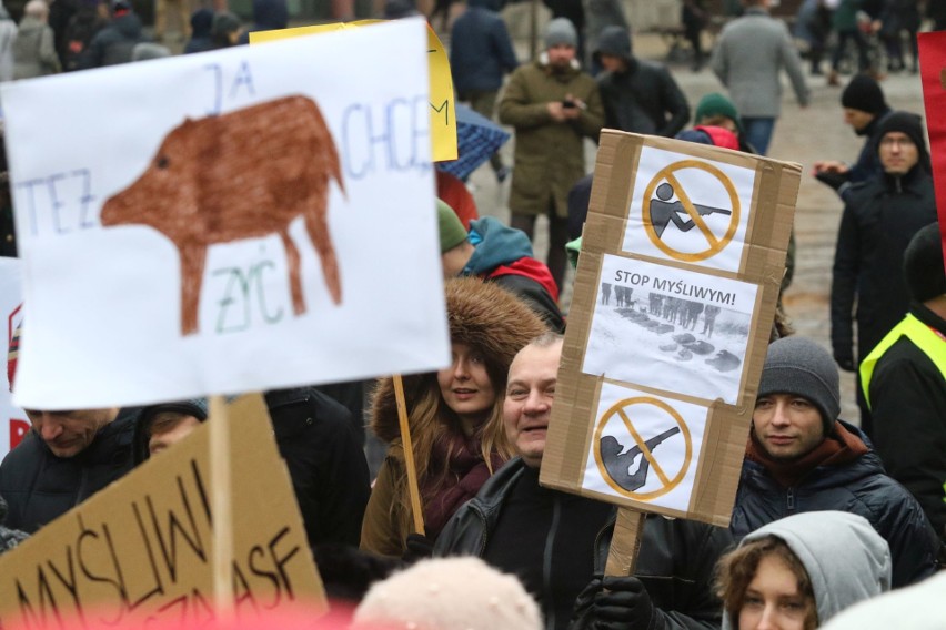 "Sto lat, niech ryją, ryją nam!" We Wrocławiu odbył się protest w obronie dzików (FILM, ZDJĘCIA)