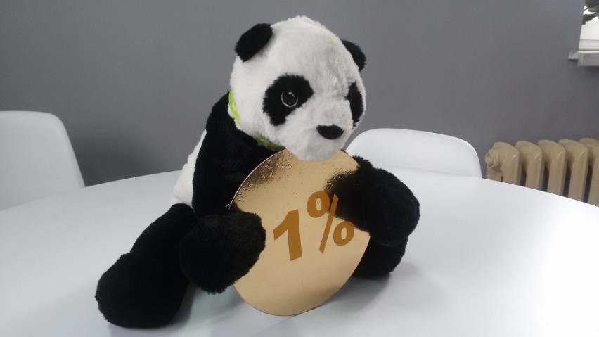 W Sosnowcu pandy będą promować zostawianie 1 procenta w...