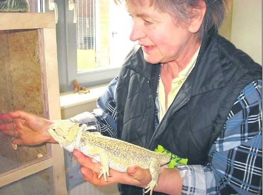 &#8211; Agatka uwielbia wygrzewać się w słońcu &#8211; mówi Alina Celniak. &#8211; Zimą zastępuje je żarówka.