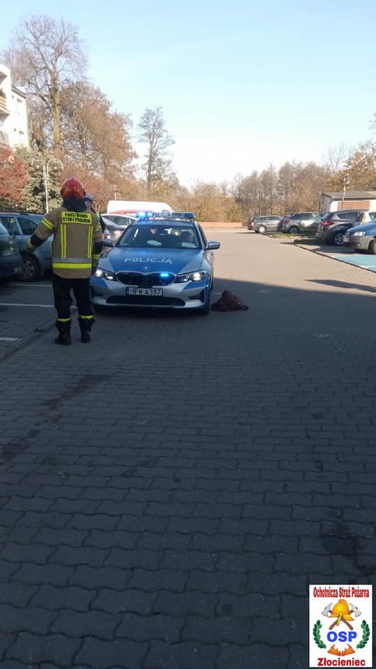 Od początku policyjnej akcji Znicz 2019 do dzisiejszych...