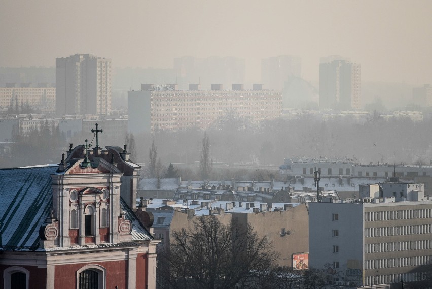 Smog w Poznaniu: Komunikacja miejska będzie darmowa?