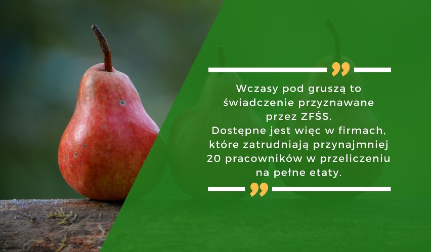 Wczasy pod gruszą to świadczenie przyznawane przez ZFŚS....