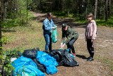 Mieszkańcy osiedla Bór w Skarżysku posprzątali las. Pomogło Nadleśnictwo Suchedniów (ZDJĘCIA)