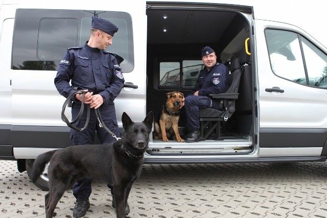 Mają doskonały węch oraz słuch. I chociaż nie noszą mundurów, to służą w policji. Właśnie z myślą o nich zaprojektowano specjalny radiowóz. Teraz jest on do dyspozycji poznańskich policjantów z Plutonu Przewodników Psów Służbowych. Czytaj dalej --->