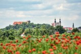 Inwestycje drogowe w gminie Otmuchów. Rusza remont w Janowej, a właśnie zakończyła się przebudowa ulicy Plażowej Co jeszcze?