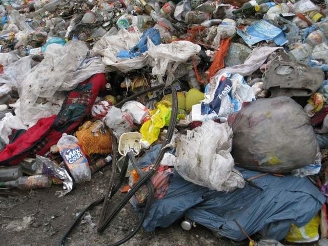Po zmianie przepisów niektórzy mieszkańcy nie będą mogli segregować śmieci