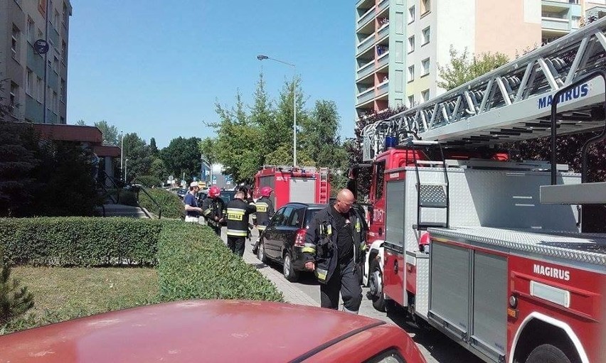 Wrocław: Pożar przy ul. Latawcowej. Paliły się ubrania (ZDJĘCIA)