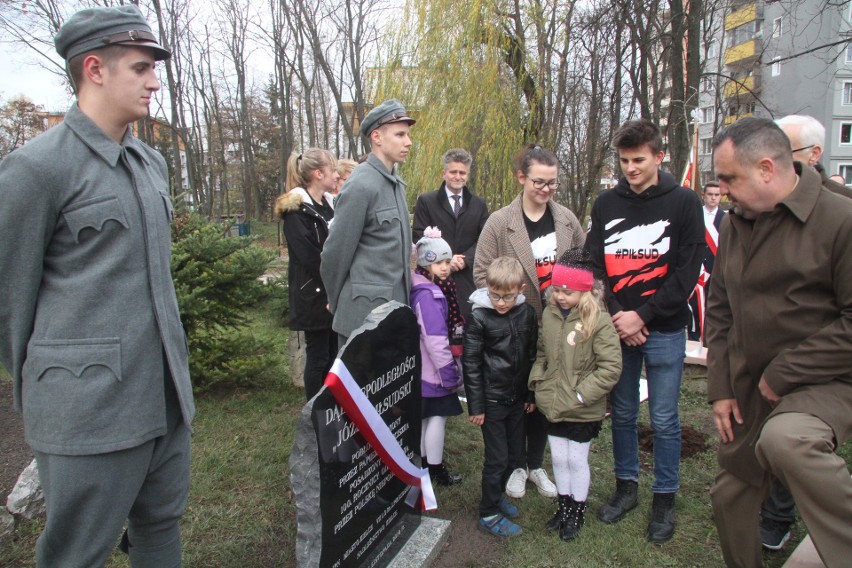 Dąb Niepodległości poświęcony przez papieża rośnie w Kielcach (WIDEO, zdjęcia)