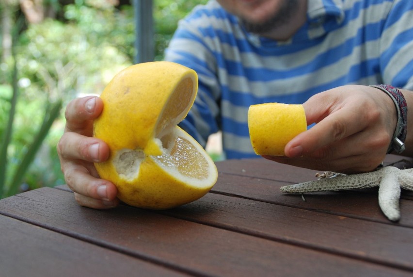 W których produktach stwierdzono największą liczbę...