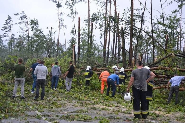 Tragedia w Suszku. Bilans nawałnicy, która przeszła nad...