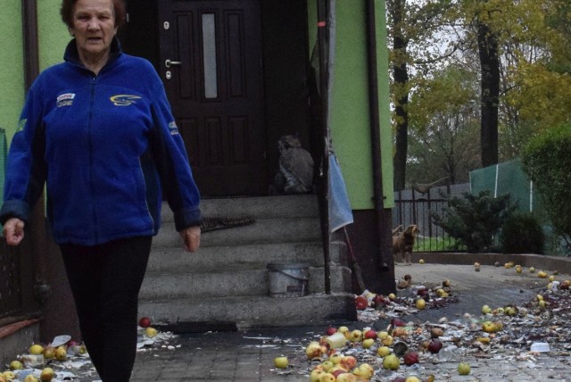 Nie mogę patrzeć na ten bałagan - skarży się Teodozja Butkiewicz. - Nie mówiąc już o tym, że niszczy się i elewacja, i polbruk.