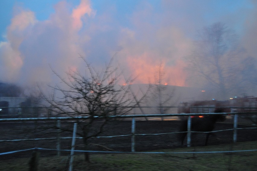 Pożar stadniny koni w Karolewku.