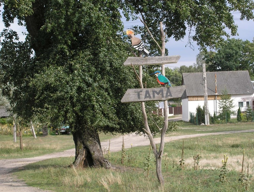 Tama – wieś sołecka położona w gminie Ruda Maleniecka w...
