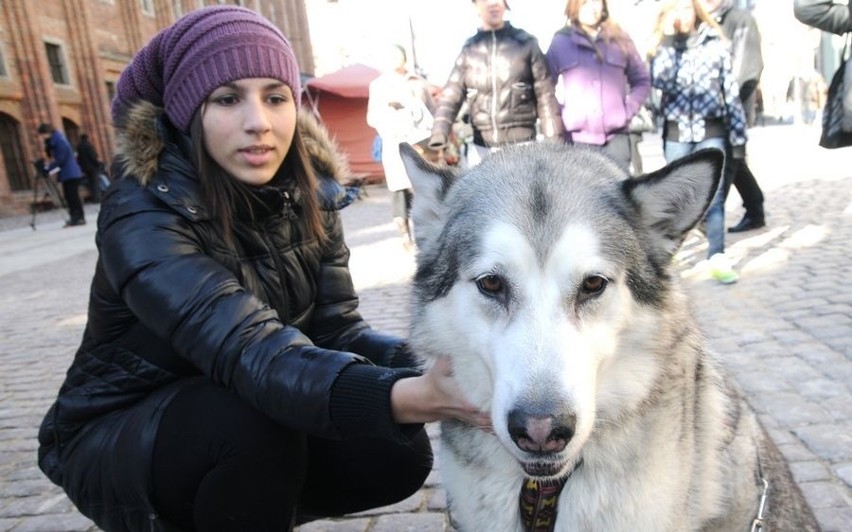 Marsz dla zwierząt  w Toruniu