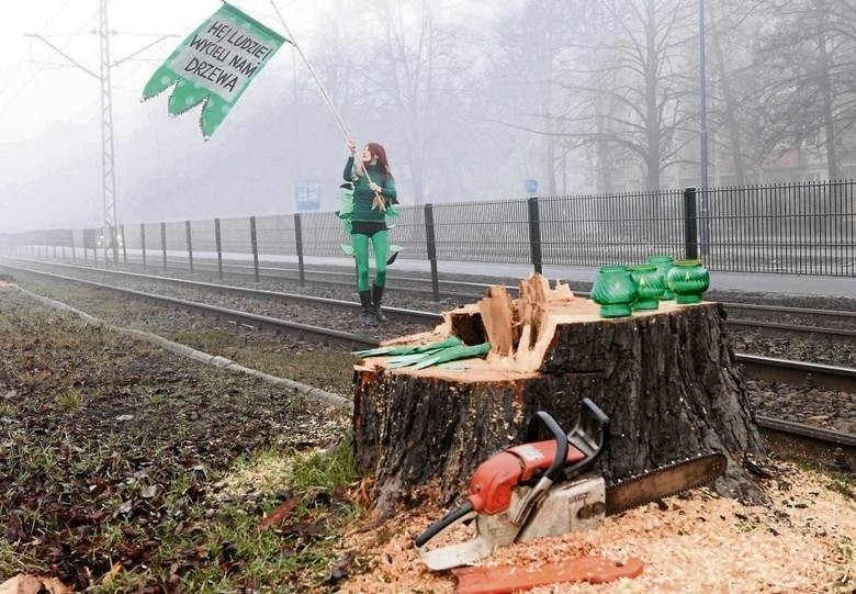 "Hej ludzie, wycięli nam drzewa!". Artystyczny głos w obronie zieleni [ZDJĘCIA]