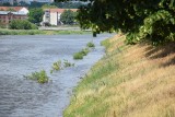 Stan Odry w Słubicach coraz wyższy. Park Nadodrzański zalany, a wraz z wodą wypłynęły śmieci 