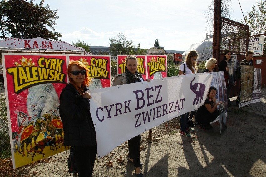 Protestowali przeciw wykorzystywaniu zwierząt w cyrkach [ZDJĘCIA]