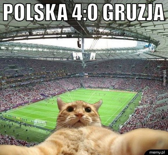 Polska - Gruzja. Najpopularniejsze memy po zwycięskim meczu