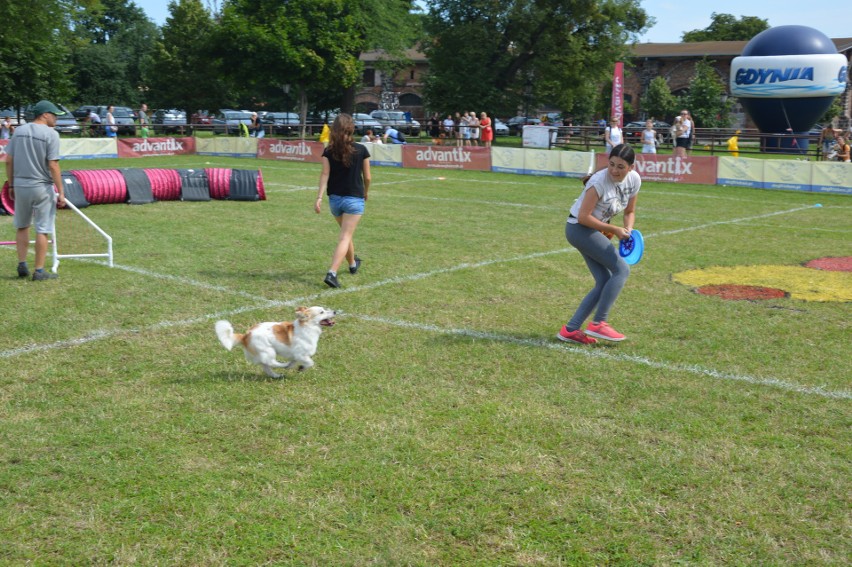 "Latające psy" 2018 w gdyńskim Parku Kolibki, czyli emocjonujące zawody w dogfrisbee