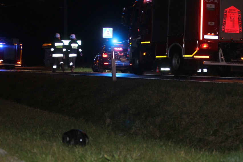 Śmiertelny wypadek na drodze krajowej numer 77 relacji Stalowa Wola - Sandomierz. Nie żyje motocyklista (ZDJĘCIA)