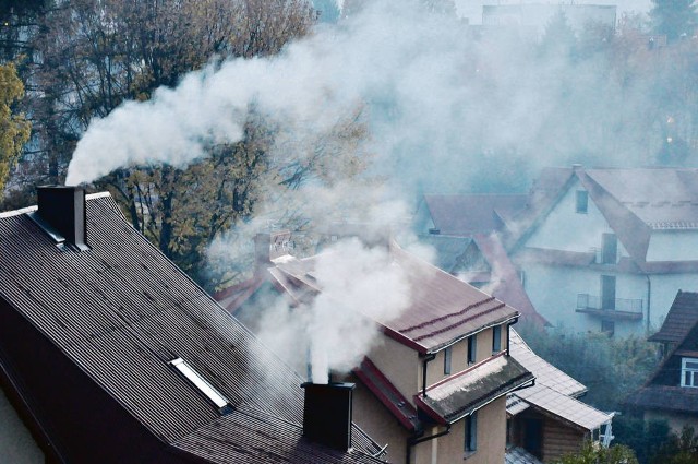 Problem ze smogiem występuje nie tylko w centrum, ale i na obrzeżach miasta, gdzie jest wiele domów opalanych węglem