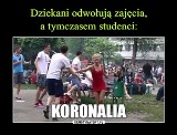 Koronawirus śmieszy studentów? "Koronalia czas zacząć"! [MEMY]