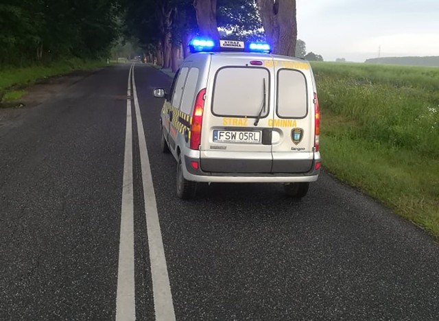 Do zderzenia doszło około godz. 7.00. Samochody zderzyły się na łuku drogi i wypadły na pobocze.