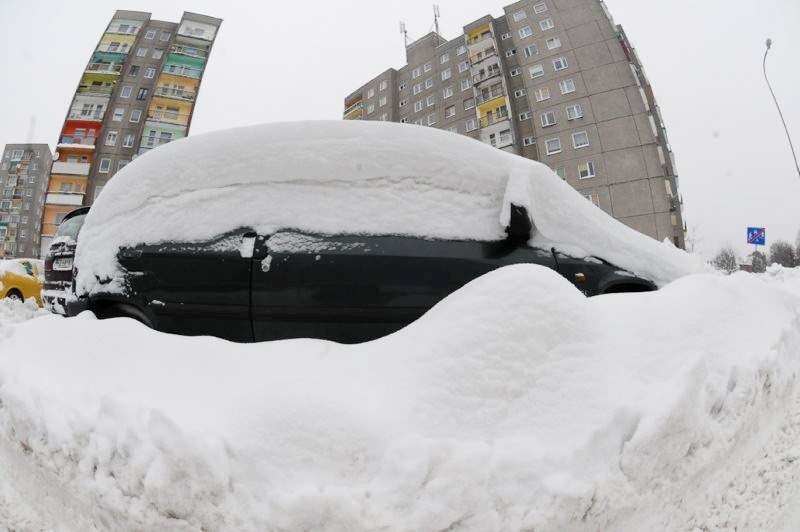 To były śnieżne zimy w Lubuskiem (zdjęcia)