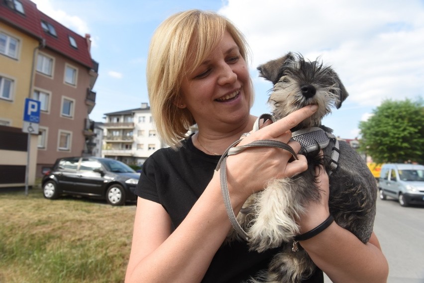 Ewa Płokita z osiedla Czarkowo z ul. Budowlanych także...