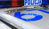 Policjanci znaleźli kilkadziesiąt łodyg konopi na posesji 64-latka z gminy Samborzec