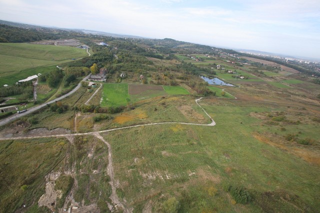 Akcja "1000 drzew dla Wieliczki" będzie prowadzona m.in. na terenach Kopalni Soli na Baryczy oraz w Parku św. Kingi