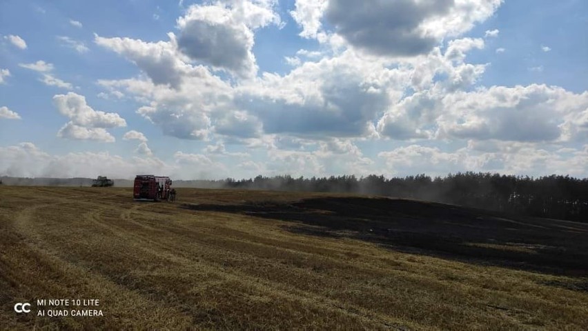 Powiat białogardzki: Pożar ścierniska pod Gruszewem ZDJĘCIA