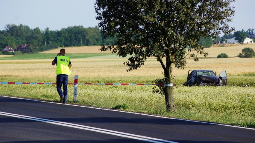 Groźny wypadek pod Wieluniem. Wśród rannych są dzieci [ZDJĘCIA, WIDEO]