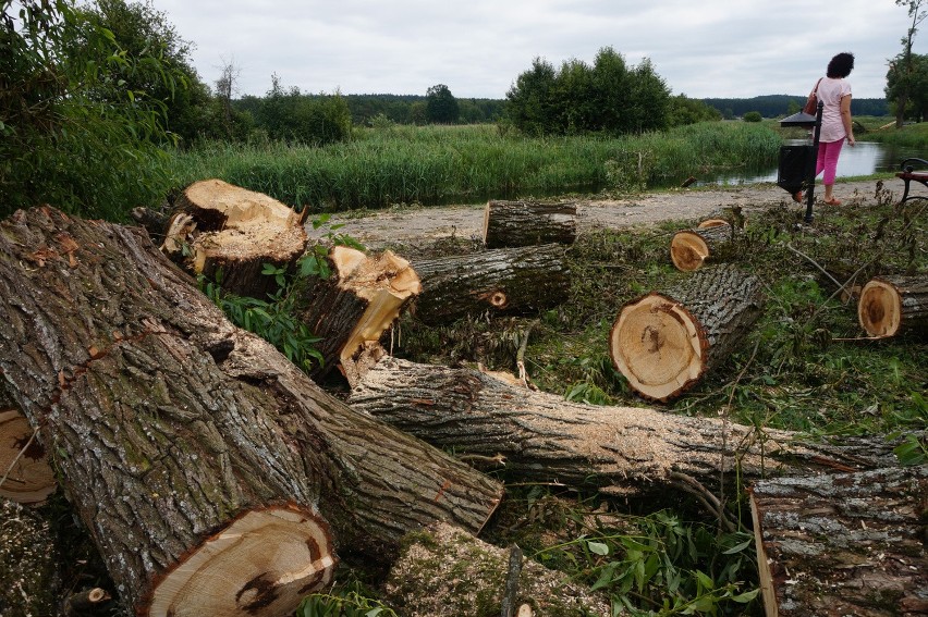 Wichury połamały wiele drzew na południu i na północy...