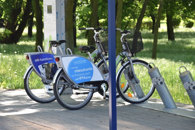 Najpopularniejszym miejscem skąd sosnowiczanie wypożyczają rowery jest stacja przy ul. Piłsudskiego