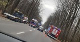 Wypadek na 11-go Listopada w Białymstoku. 73-letni kierowca uderzył w drzewo