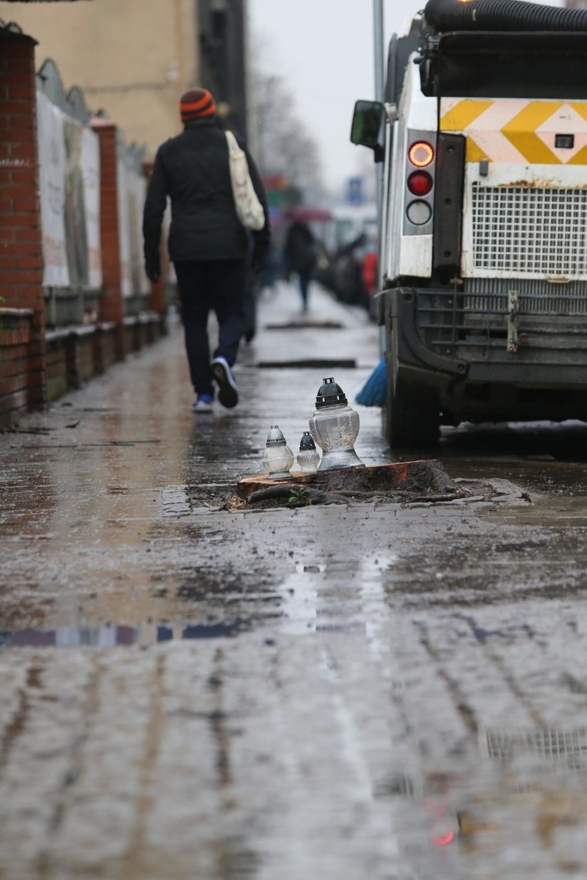 Wycięte kasztanowce przy Raciborskiej w Katowicach