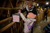 Bożonarodzeniowa szopka na Rynku Kościuszki przyciąga zainteresowanie mieszkańców. Szczególnie cieszą się z niej najmłodsi (ZDJĘCIA)