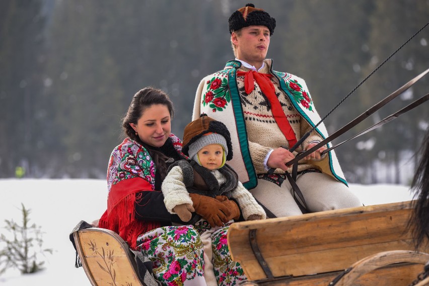 Kumotersko gońba na Lichajówkach, czyli góralskie wyścigi konne [ZDJĘCIA]