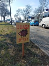 W Katowicach pojawiły się kolejne tabliczki "Uwaga jeże!". Postawiono też znaki w barwach flagi Ukrainy. Inicjatorem jest kierowca PKM