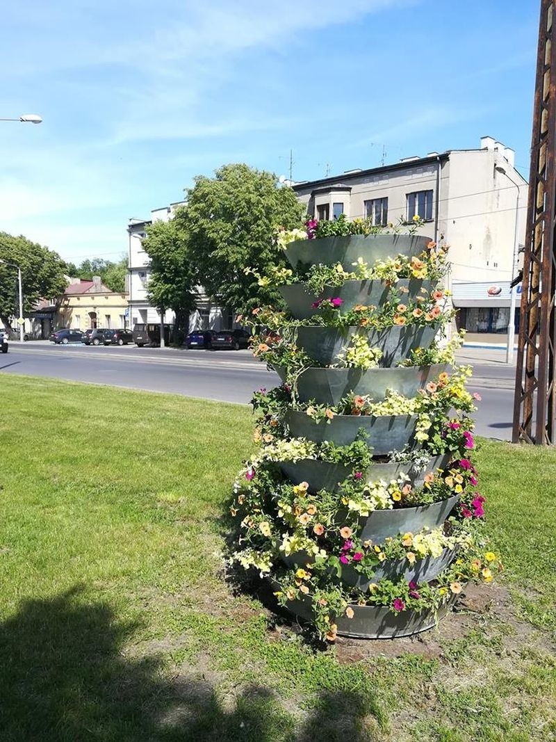 Czy Pabianice nie wyglądają teraz piękniej?