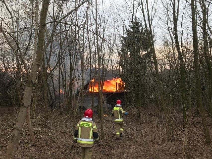 Dwa pożary tego samego pustostanu w Konopnicy jednego dnia. Zobacz zdjęcia z akcji