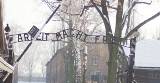 Kradzież z Auschwitz. Sąd w Krakowie nie rozpatrzył wniosków