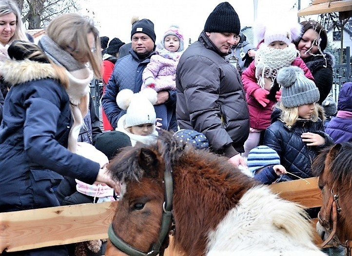 Tradycyjne szopki w mieleckich kościołach. W Bazylice była żywa szopka, na Wojsławiu ruchoma [ZDJĘCIA, WIDEO]