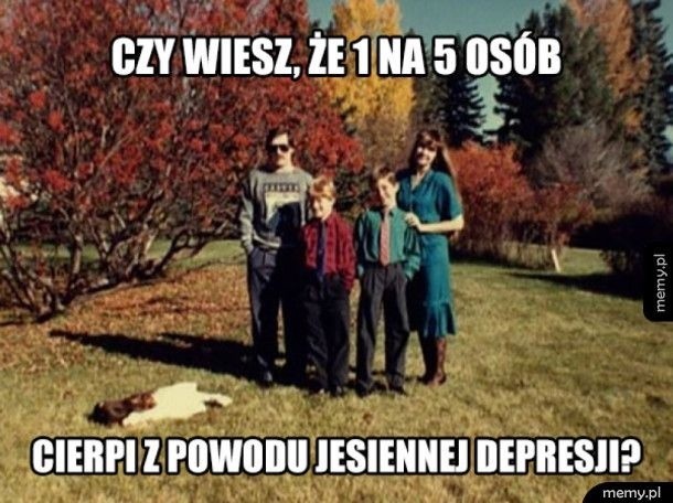 Złota polska jesień, czyli... Te memy poprawią Ci humor w jesienną szarugę 