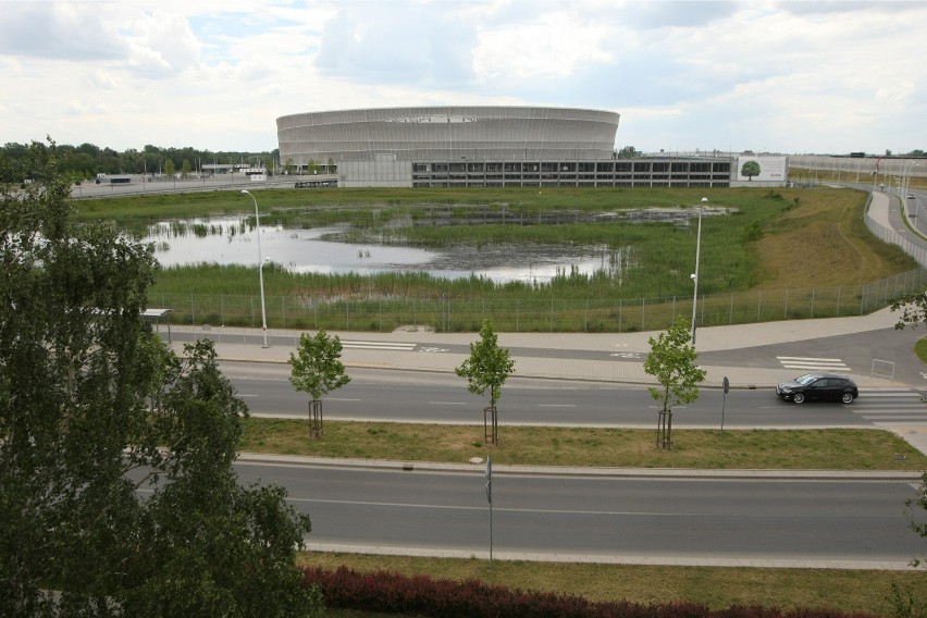 Wielkie rozlewisko przy Stadionie Miejskim