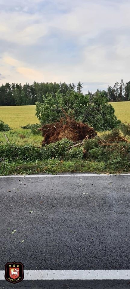 W piątek w godzinach popołudniowych przez nasz region...