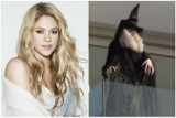 Shakira nie odpuszcza Pique i jego matce! Nowe metody uprzykrzania życia byłej teściowej