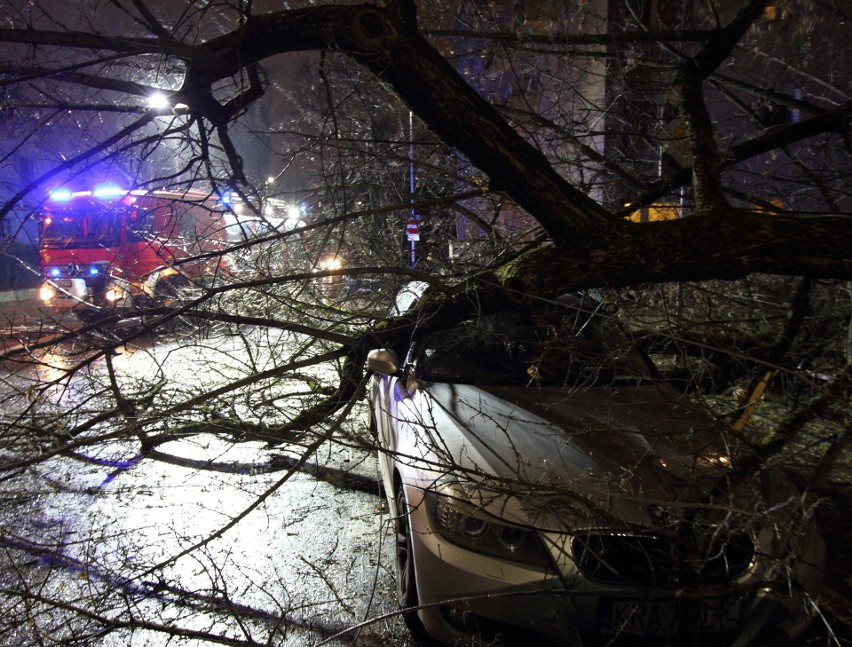 Powalone drzewo spadło na samochód przy ul. Kieleckiej w...