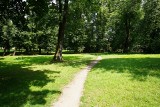Park Kopernika w Tczewie to dawny cmentarz. Miasto chce go odnowić, ale musi dogadać się z parafią. Chodzi o majątek  
